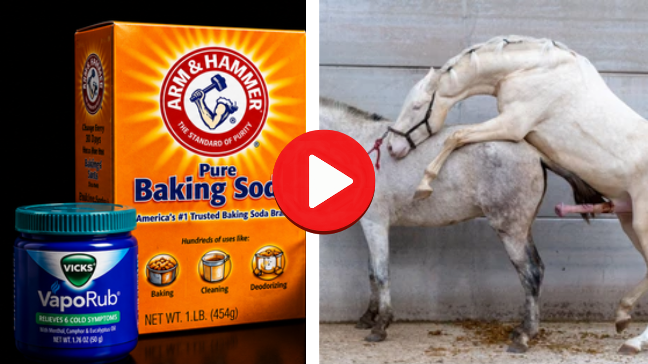 Watch the horse gelatin formula presentation